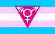 Newsletter 2015-02-08: More Transgender Rights, SPB and Conference