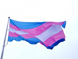 trangender_flag_photo